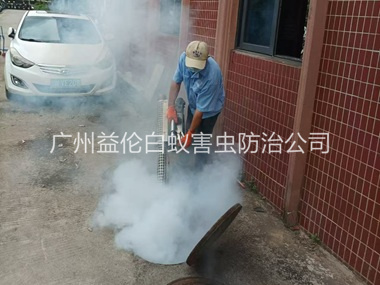 太和环境蟑螂消杀工程