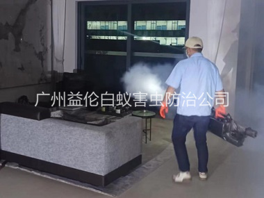 金沙洲室内灭蚊虫工程